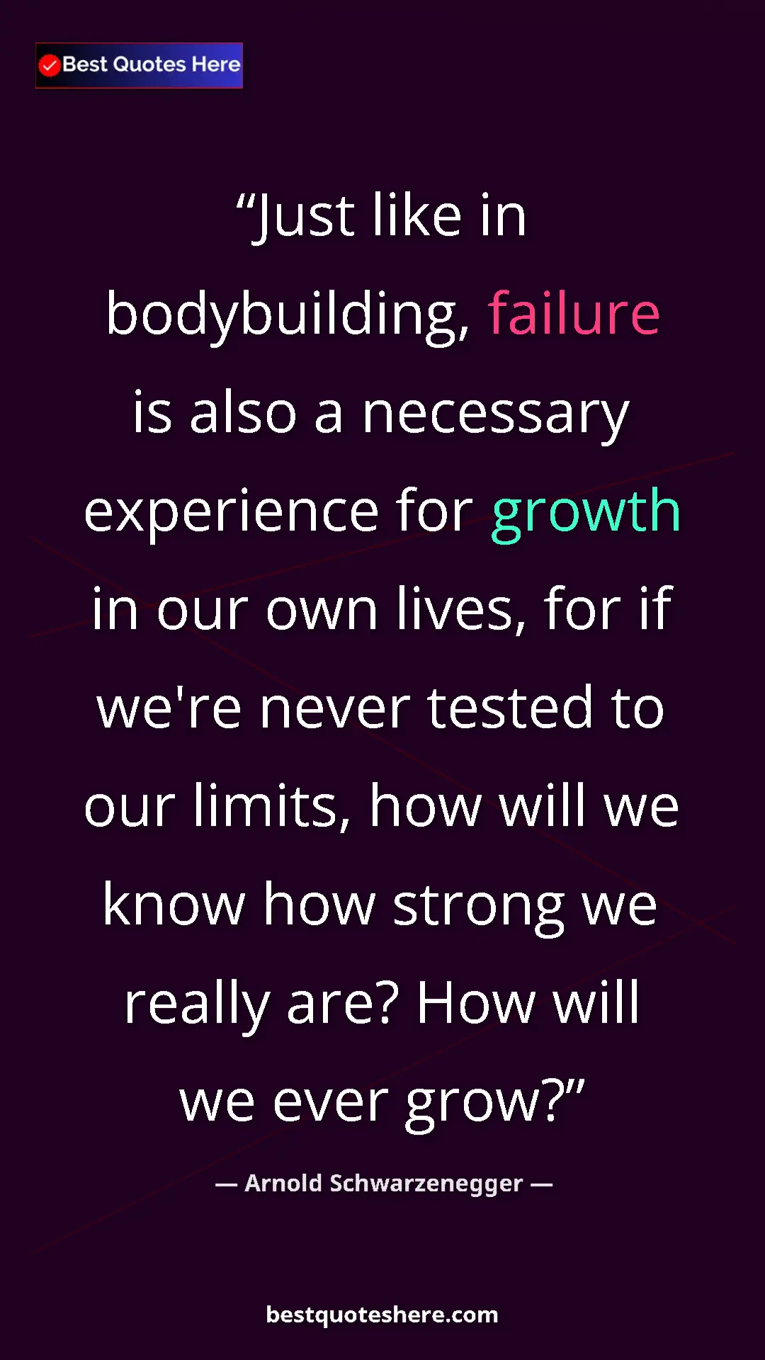 Pinterest quote poster by Arnold Schwarzenegger: "Just like in bodybuilding, failure is also a necessary..."
