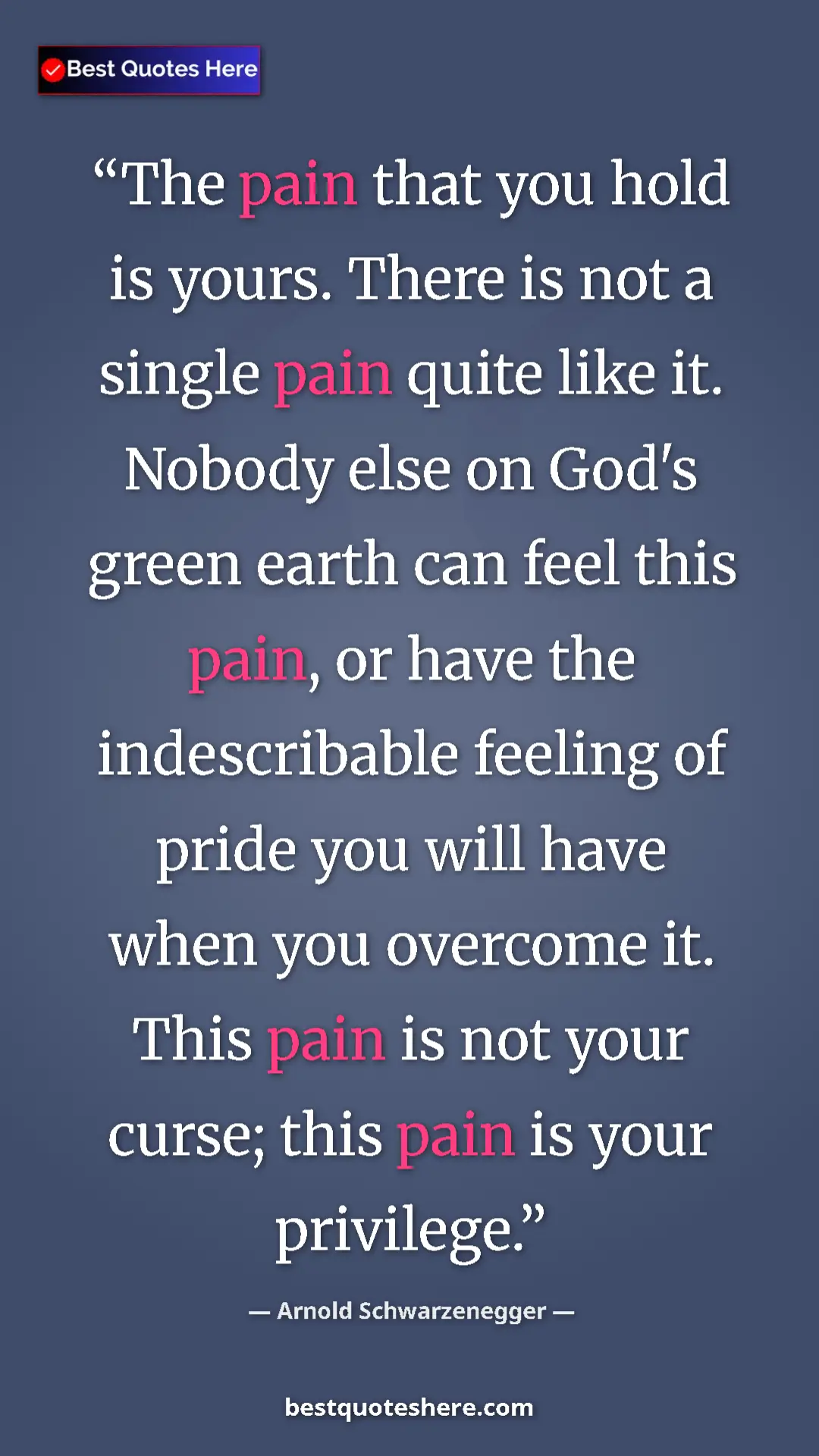 Pinterest quote poster by Arnold Schwarzenegger: "The pain that you hold is yours. There is not a single pain..."