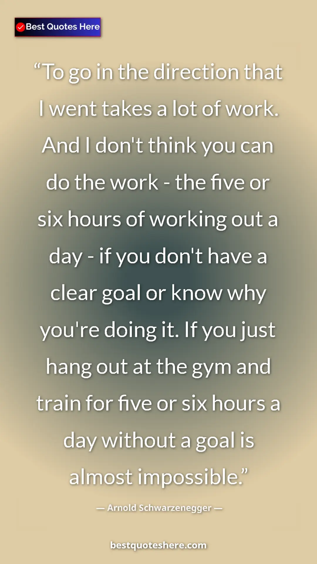 Pinterest quote poster by Arnold Schwarzenegger: "To go in the direction that I went takes a lot of work. And..."
