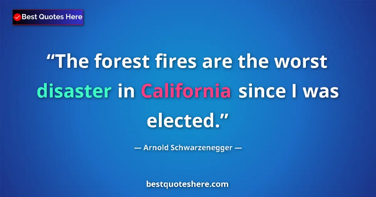 Quote by Arnold Schwarzenegger: The forest fires are the worst disaster in California since I was elected....