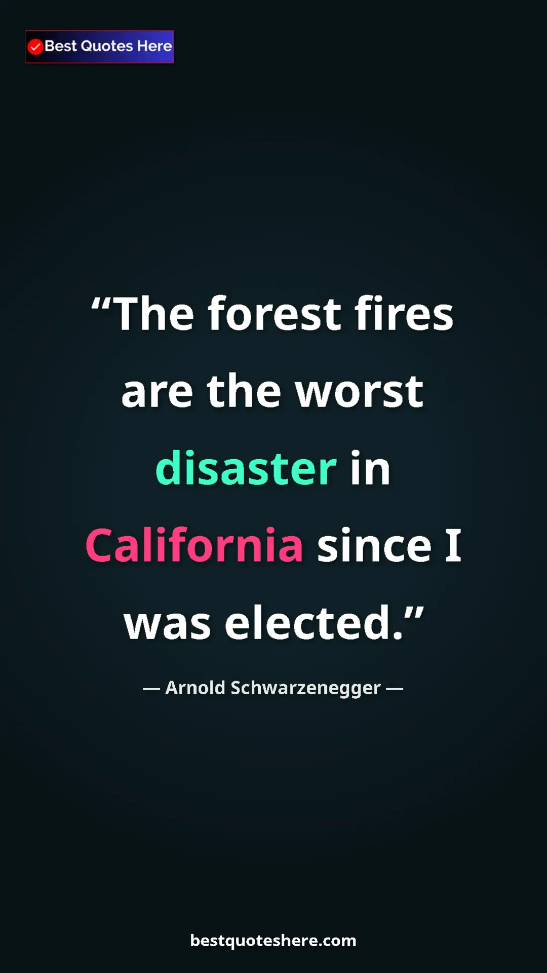 Pinterest quote poster by Arnold Schwarzenegger: "The forest fires are the worst disaster in California since..."