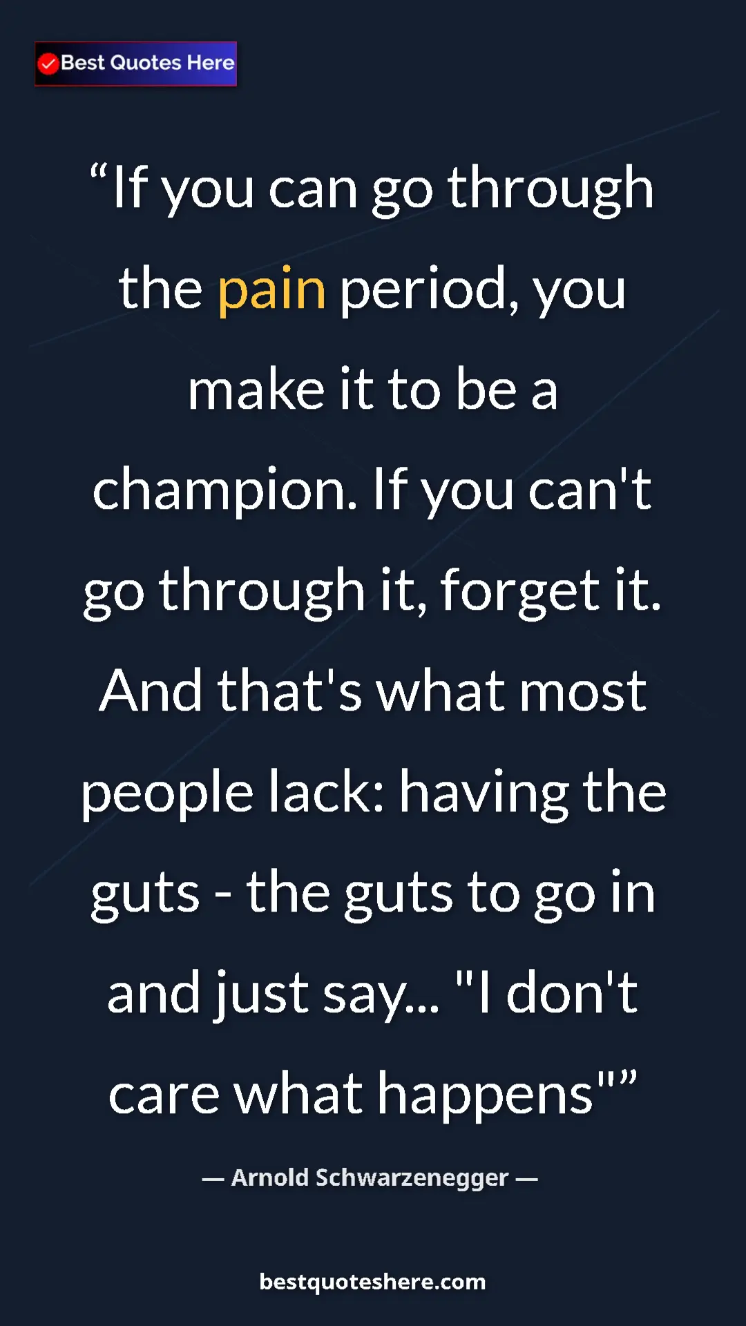 Pinterest quote poster by Arnold Schwarzenegger: "If you can go through the pain period, you make it to be a..."