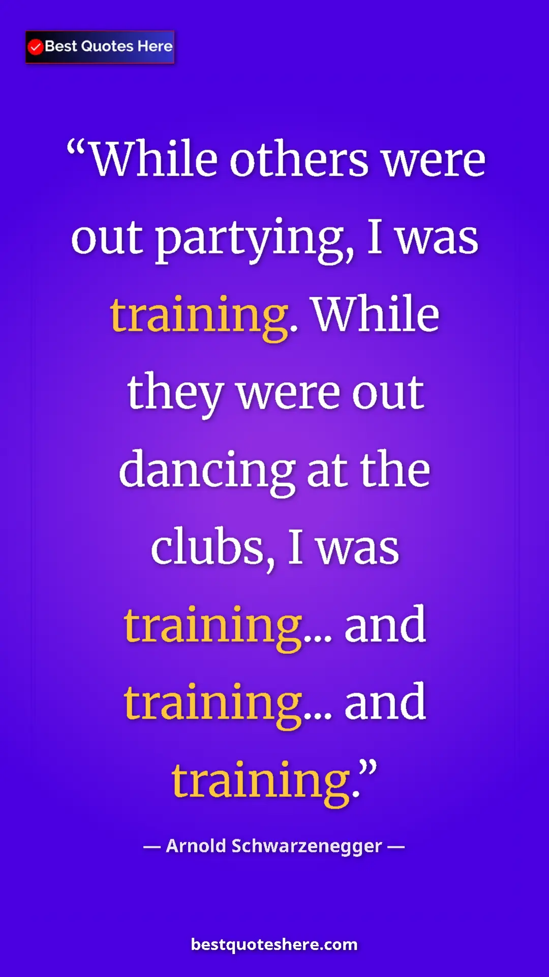 Pinterest quote poster by Arnold Schwarzenegger: "While others were out partying, I was training. While they..."