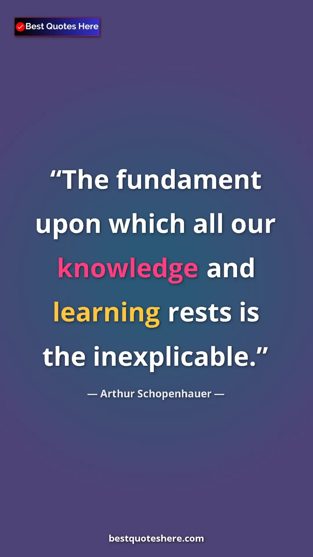 Pinterest quote poster by Arthur Schopenhauer: "The fundament upon which all our knowledge and learning..."