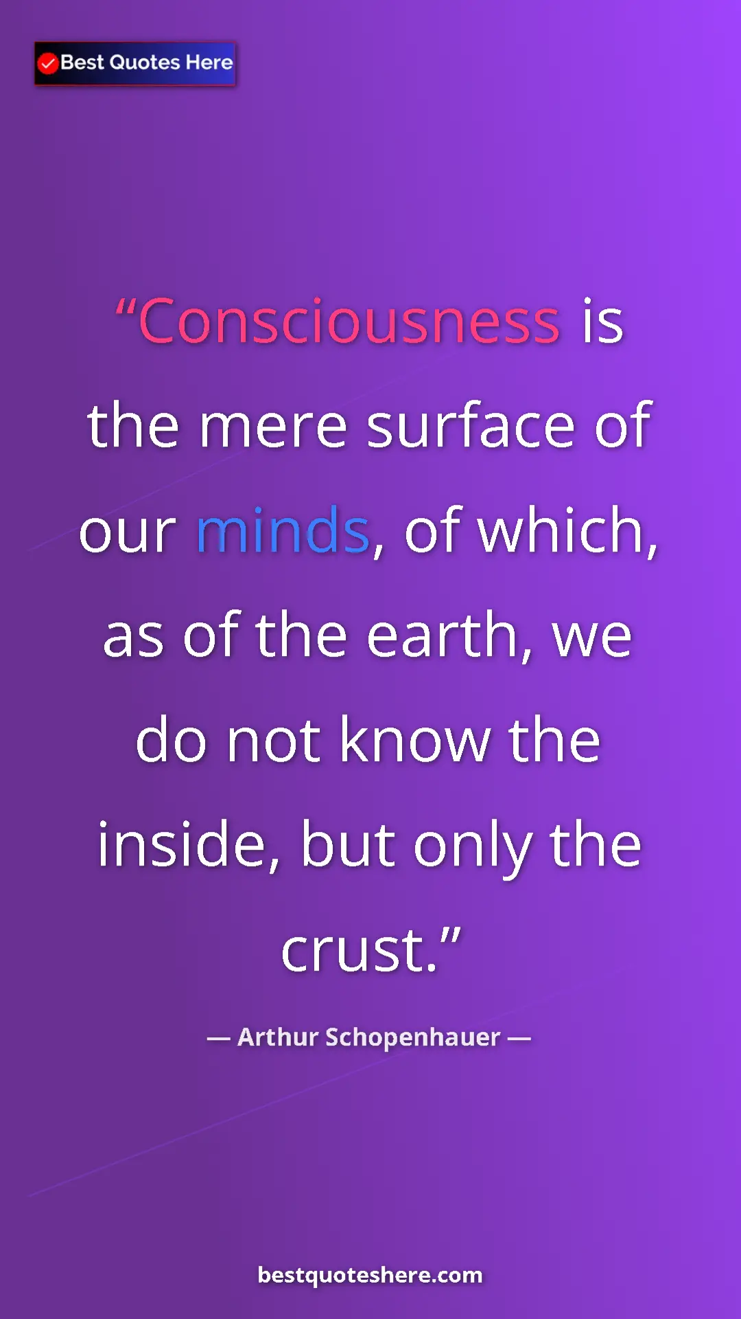 Pinterest quote poster by Arthur Schopenhauer: "Consciousness is the mere surface of our minds, of which,..."