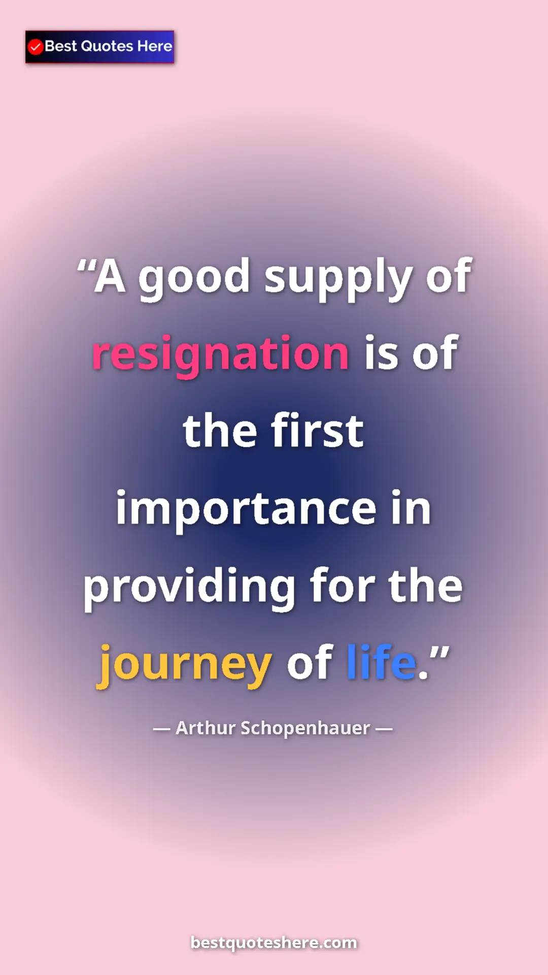 Pinterest quote poster by Arthur Schopenhauer: "A good supply of resignation is of the first importance in..."