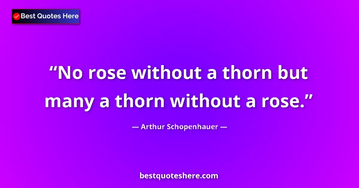 Quote by Arthur Schopenhauer: No rose without a thorn but many a thorn without a rose....