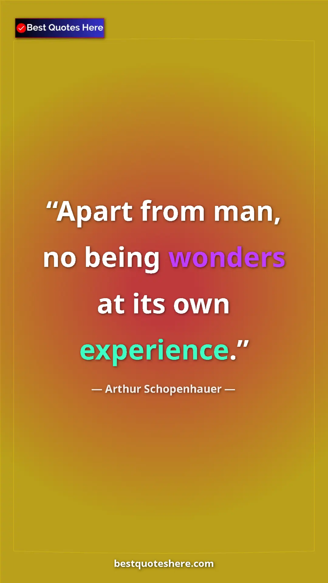 Pinterest quote poster by Arthur Schopenhauer: "Apart from man, no being wonders at its own experience."