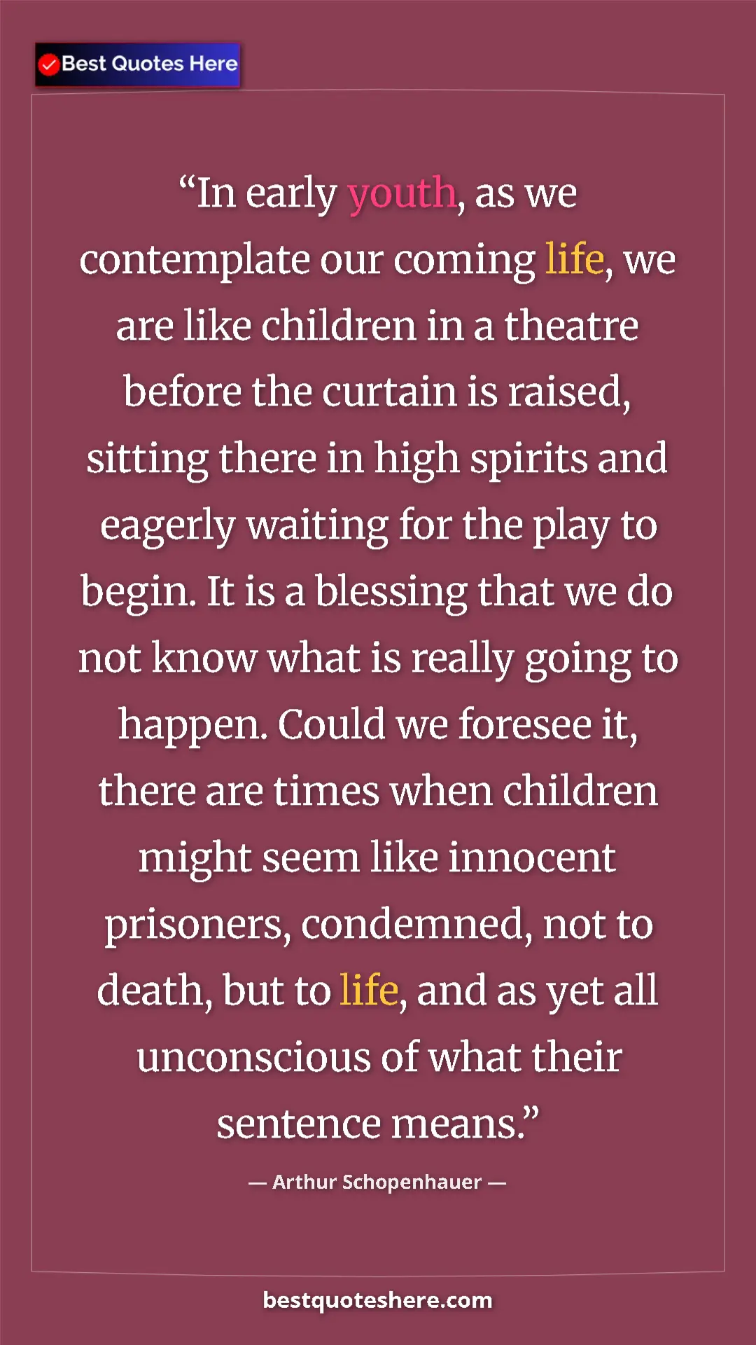 Pinterest quote poster by Arthur Schopenhauer: "In early youth, as we contemplate our coming life, we are..."