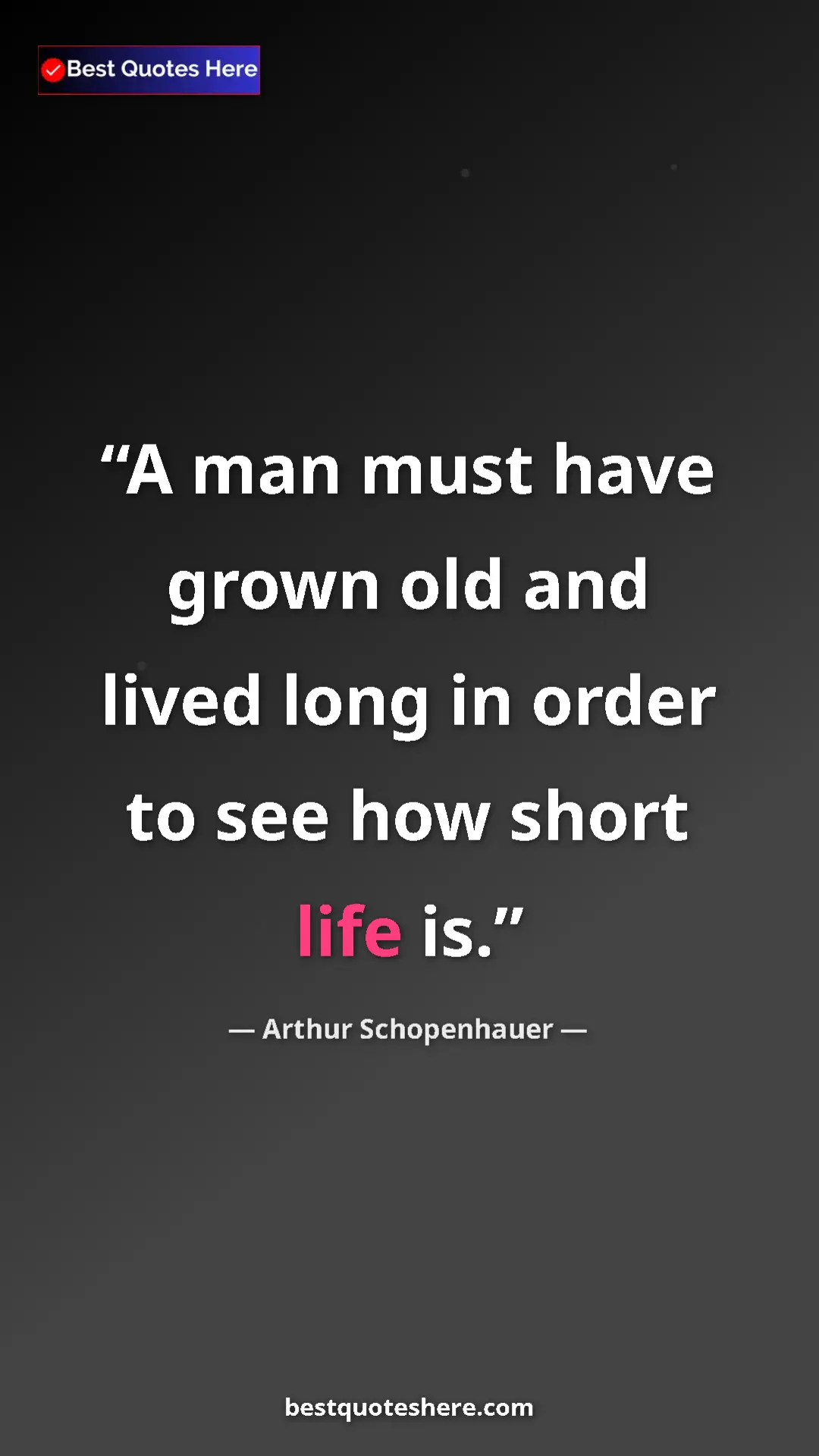 Pinterest quote poster by Arthur Schopenhauer: "A man must have grown old and lived long in order to see..."