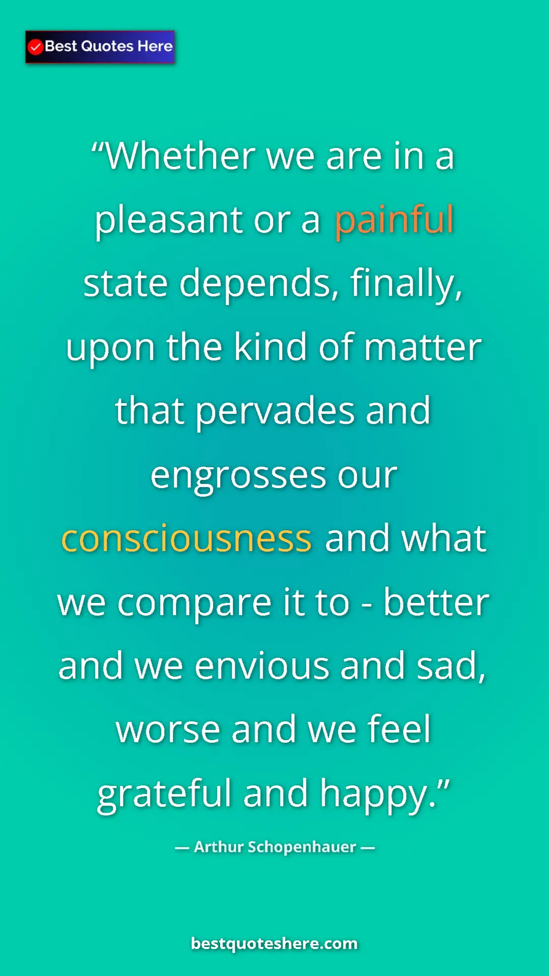 Pinterest quote poster by Arthur Schopenhauer: "Whether we are in a pleasant or a painful state depends,..."