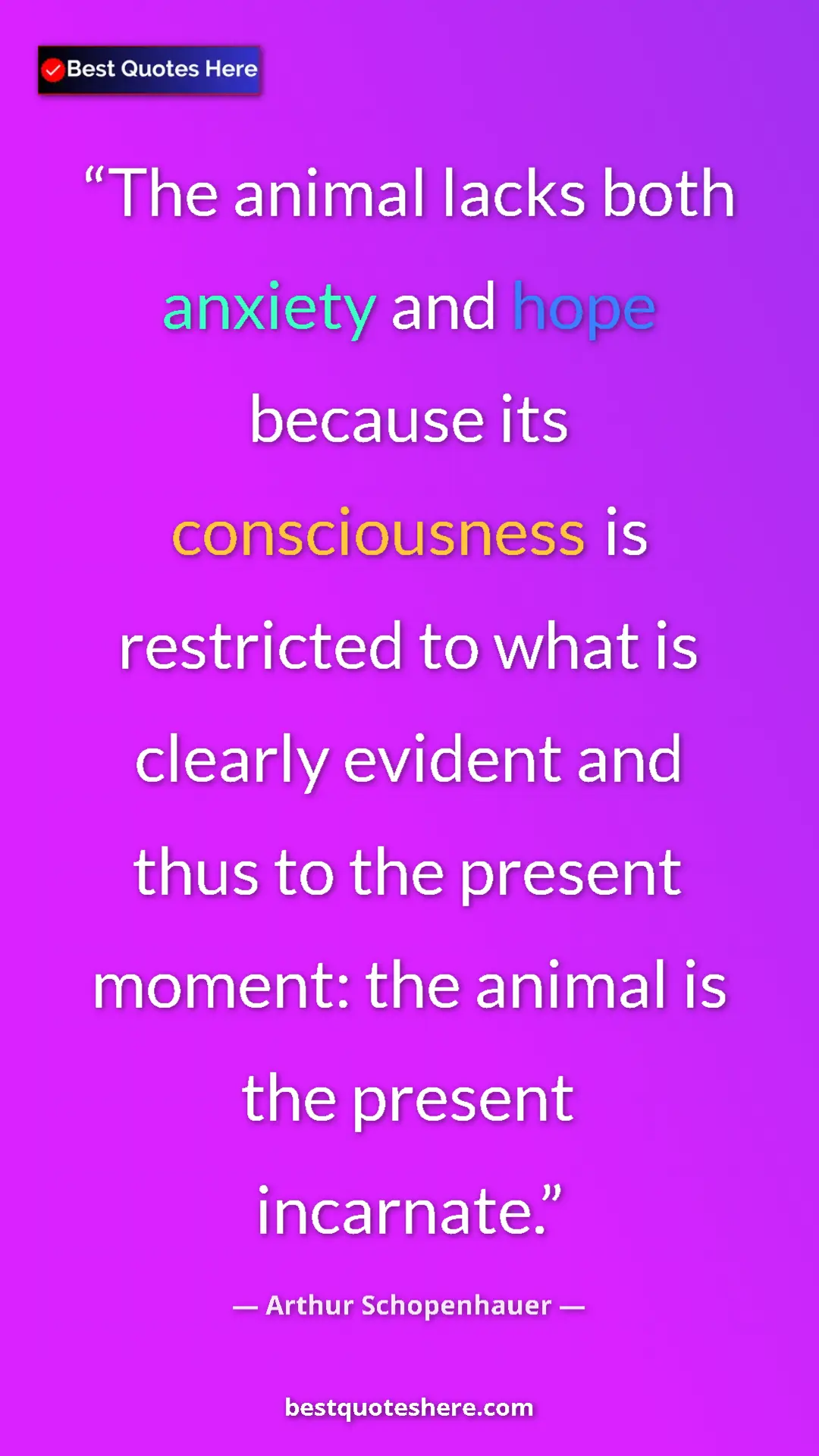 Arthur Schopenhauer Quote Card: "The animal lacks both anxiety and hope because its..." Pinterest quote poster by Arthur Schopenhauer: "The animal lacks both anxiety and hope because its..."