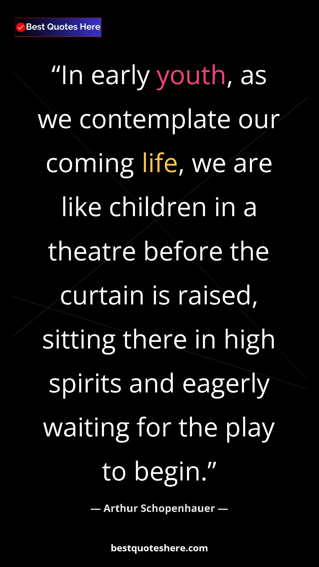 Pinterest quote poster by Arthur Schopenhauer: "In early youth, as we contemplate our coming life, we are..."