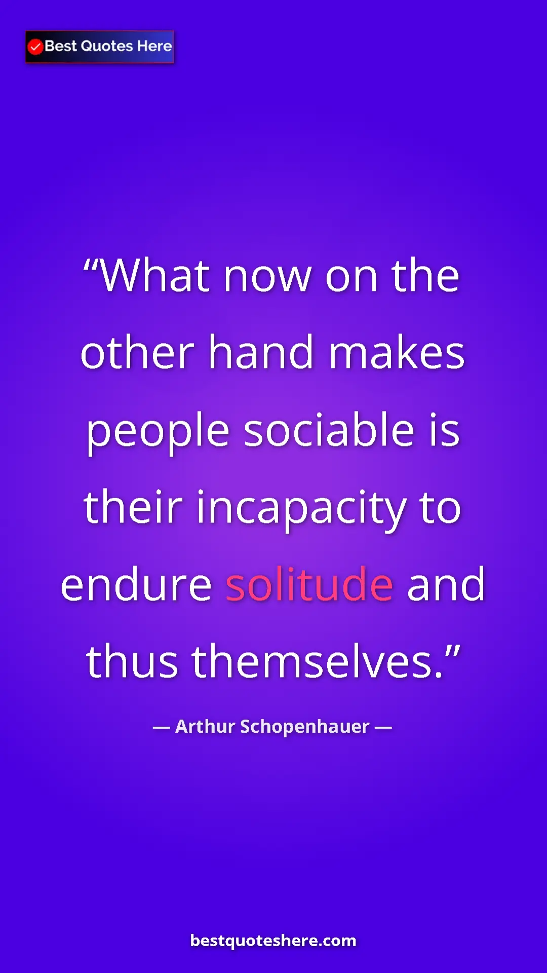 Pinterest quote poster by Arthur Schopenhauer: "What now on the other hand makes people sociable is their..."