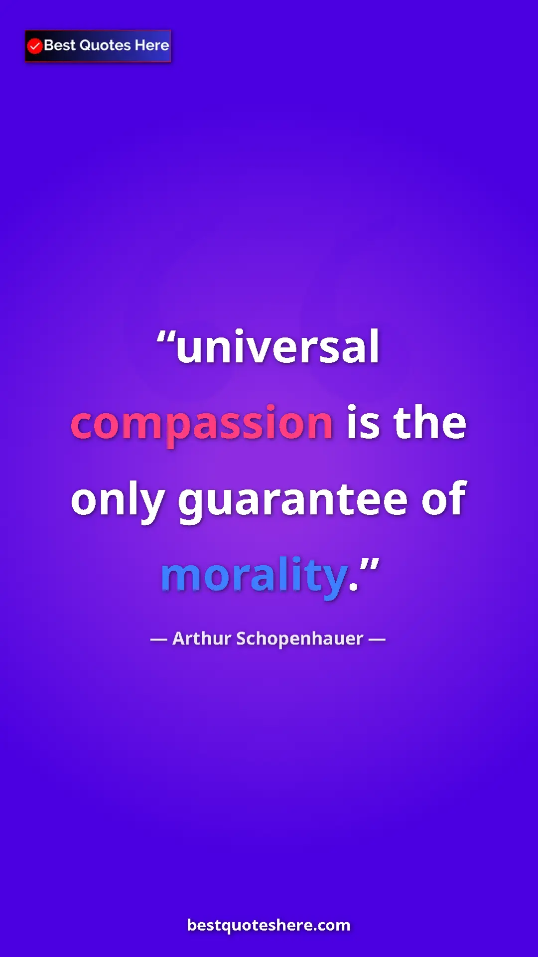 Pinterest quote poster by Arthur Schopenhauer: "universal compassion is the only guarantee of morality."