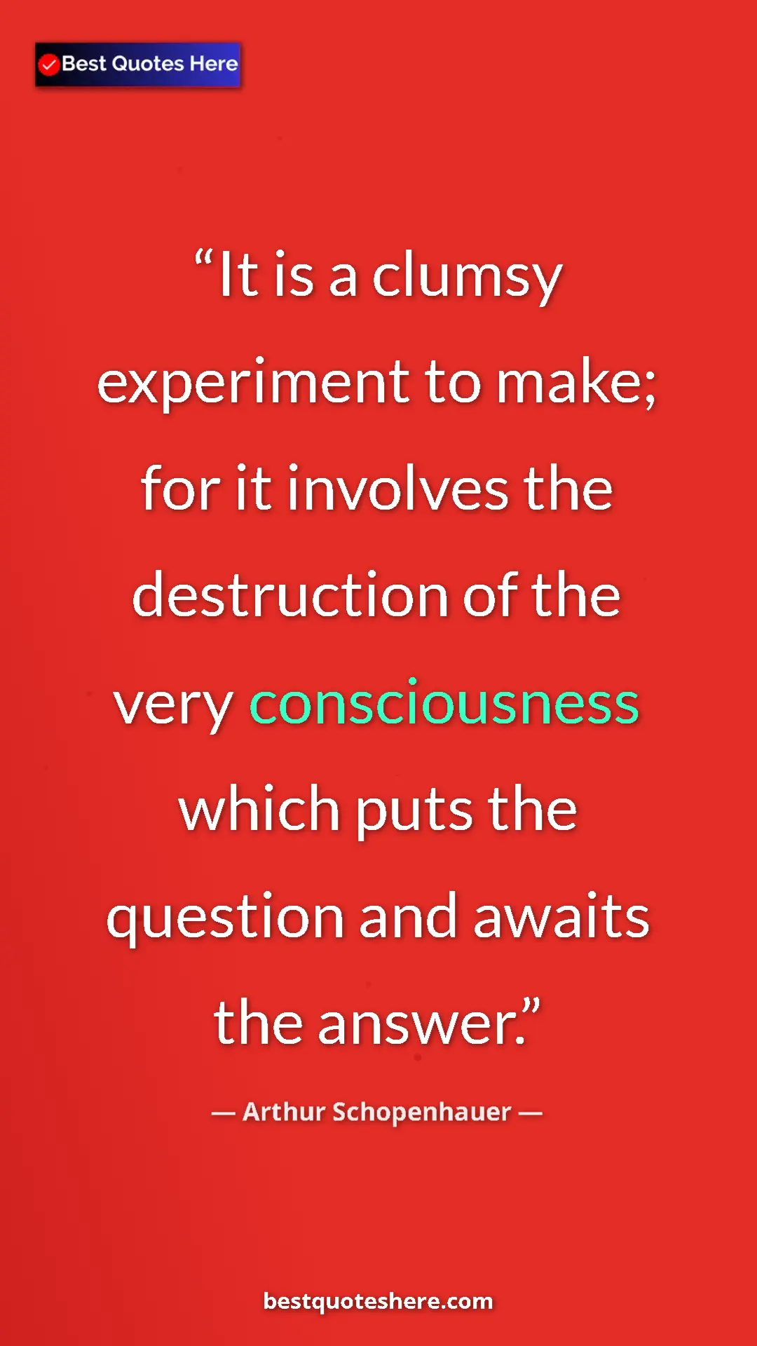 Pinterest quote poster by Arthur Schopenhauer: "It is a clumsy experiment to make; for it involves the..."