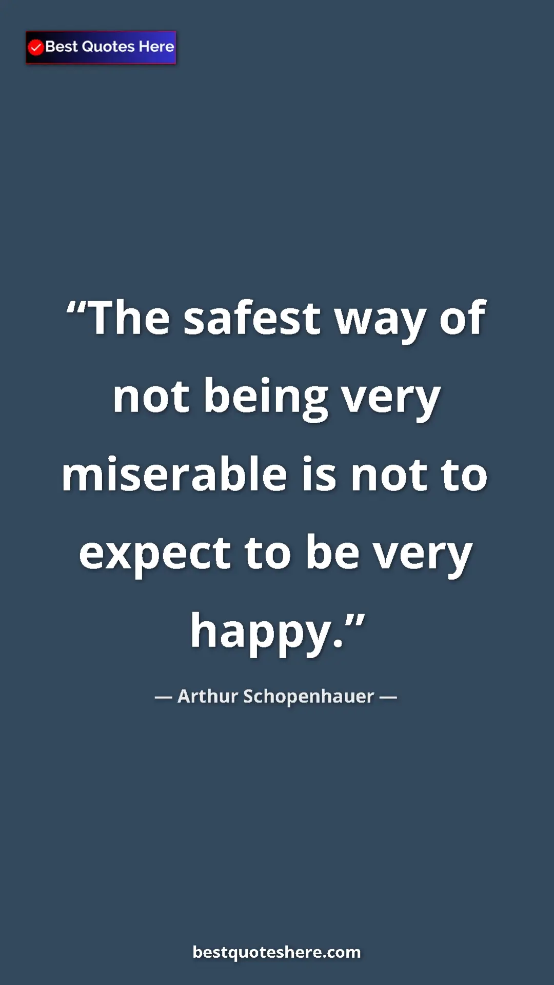 Pinterest quote poster by Arthur Schopenhauer: "The safest way of not being very miserable is not to expect..."