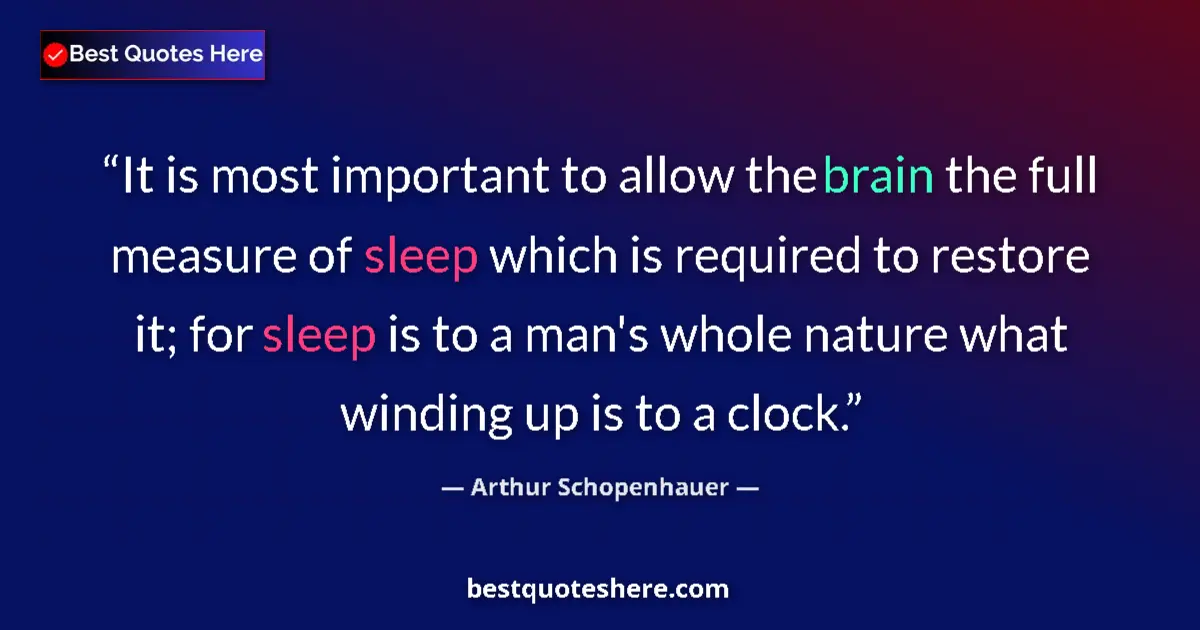 Quote by Arthur Schopenhauer: It is most important to allow the brain the full measure of sleep which is required to restore it; f...