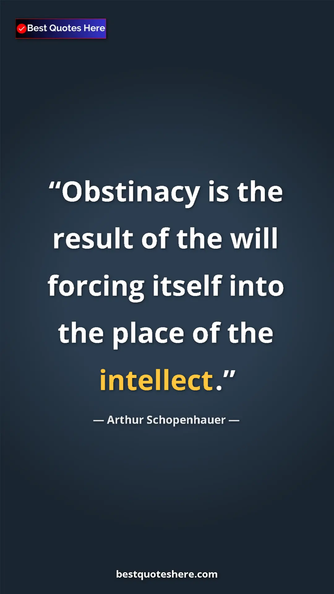 Pinterest quote poster by Arthur Schopenhauer: "Obstinacy is the result of the will forcing itself into the..."