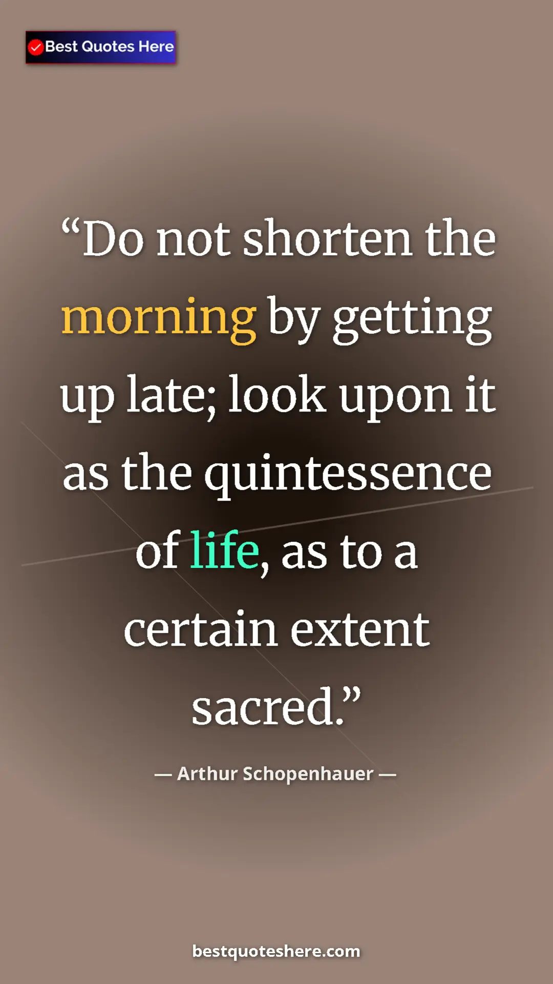 Pinterest quote poster by Arthur Schopenhauer: "Do not shorten the morning by getting up late; look upon it..."
