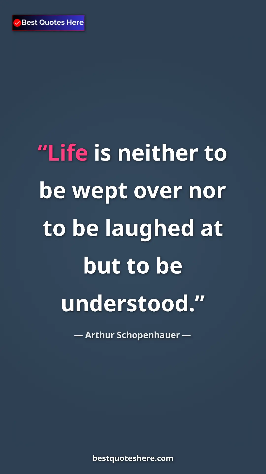 Pinterest quote poster by Arthur Schopenhauer: "Life is neither to be wept over nor to be laughed at but to..."