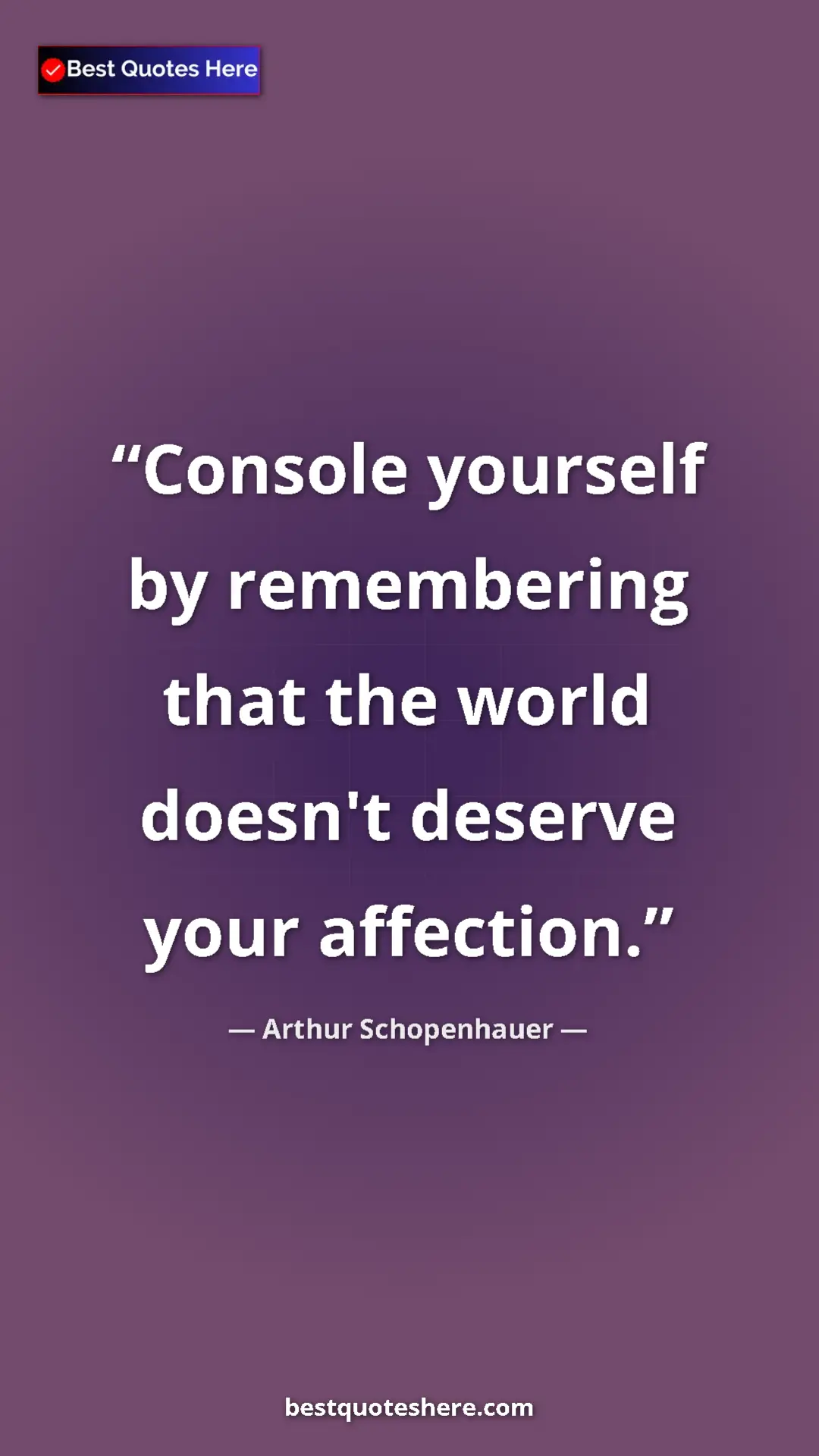 Pinterest quote poster by Arthur Schopenhauer: "Console yourself by remembering that the world doesn't..."