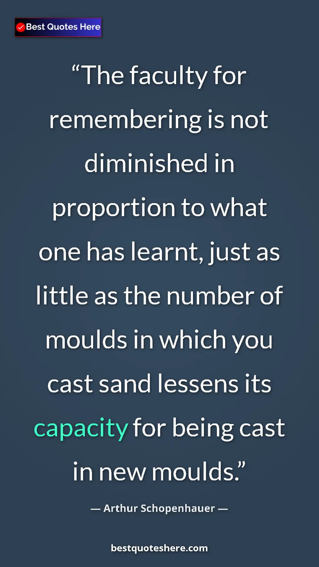 Pinterest quote poster by Arthur Schopenhauer: "The faculty for remembering is not diminished in proportion..."