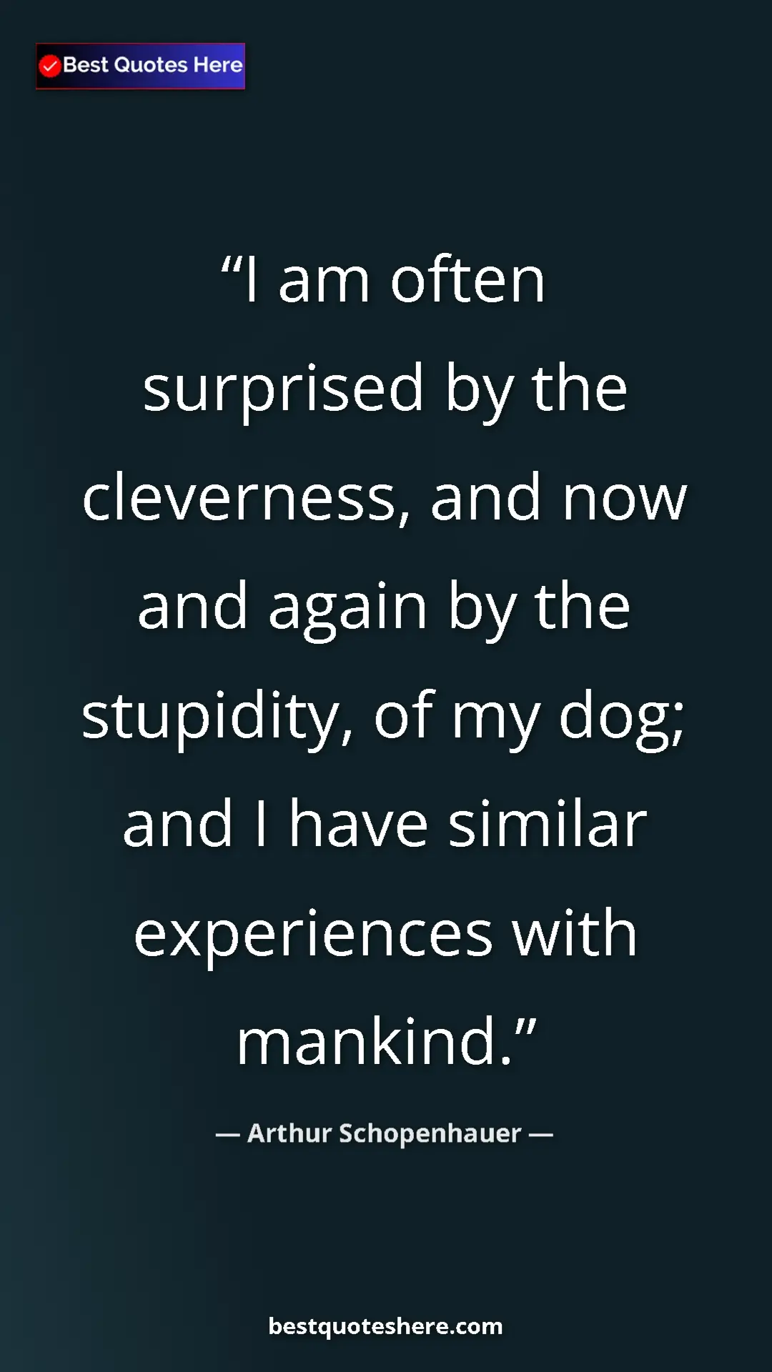 Arthur Schopenhauer Quote Card: "I am often surprised by the cleverness, and now and again..." Pinterest quote poster by Arthur Schopenhauer: "I am often surprised by the cleverness, and now and again..."