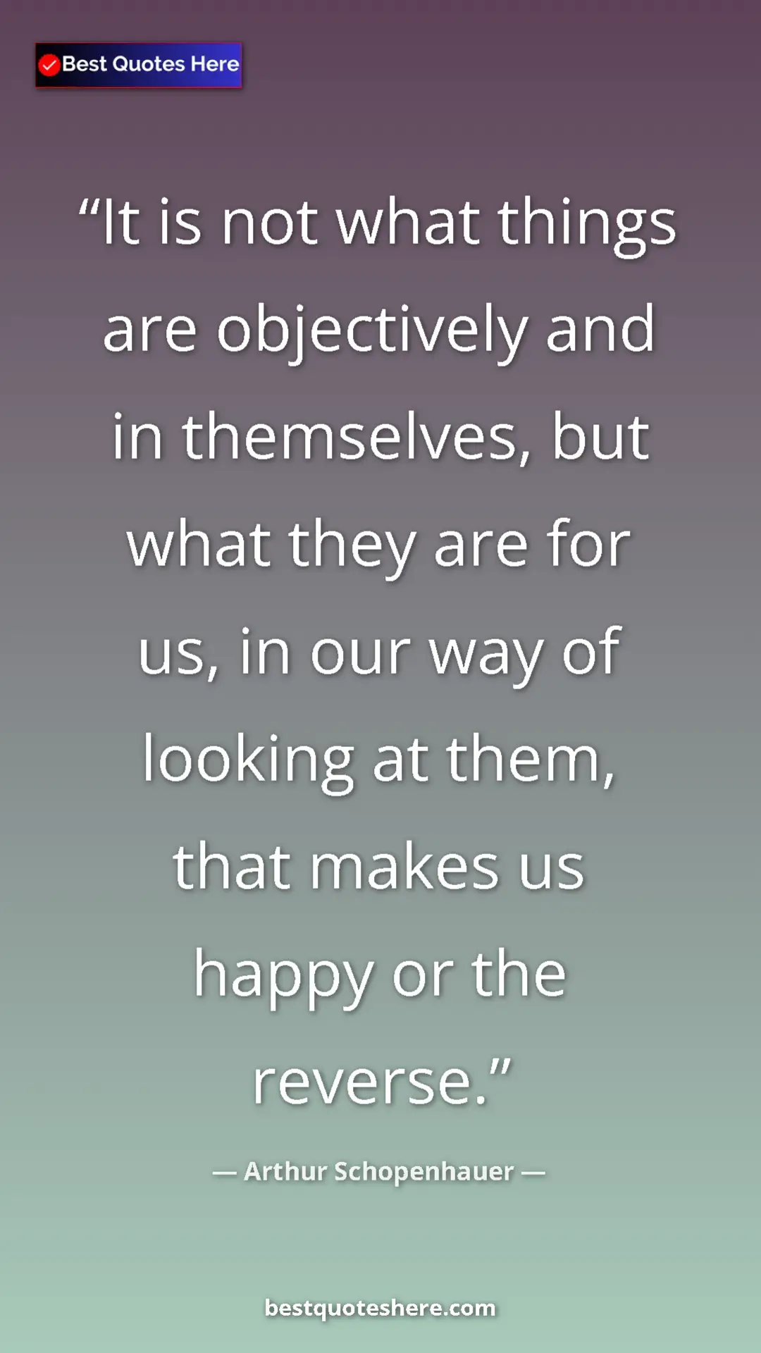 Pinterest quote poster by Arthur Schopenhauer: "It is not what things are objectively and in themselves,..."