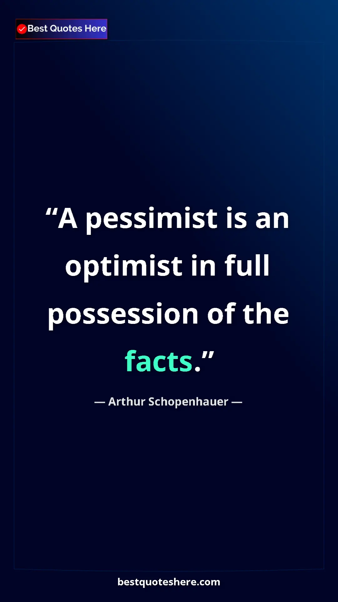 Pinterest quote poster by Arthur Schopenhauer: "A pessimist is an optimist in full possession of the facts."