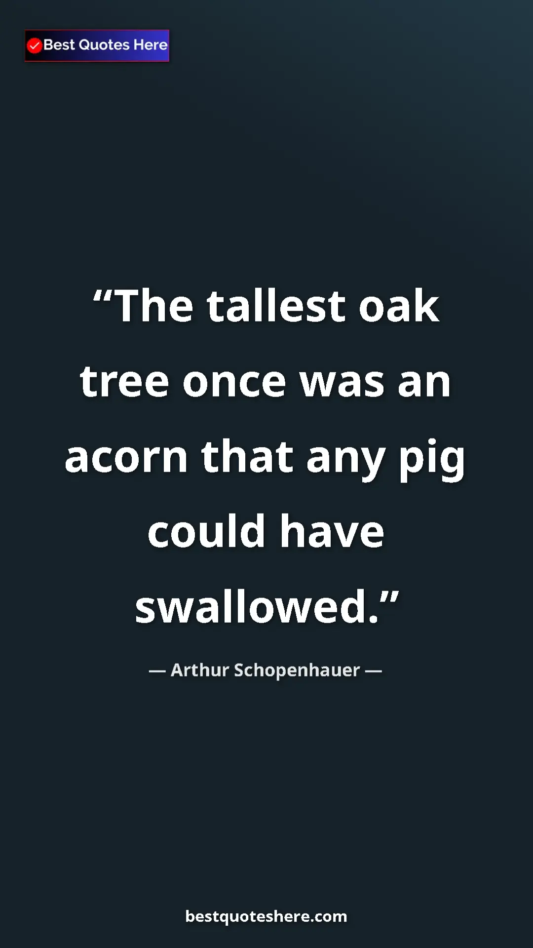 Pinterest quote poster by Arthur Schopenhauer: "The tallest oak tree once was an acorn that any pig could..."