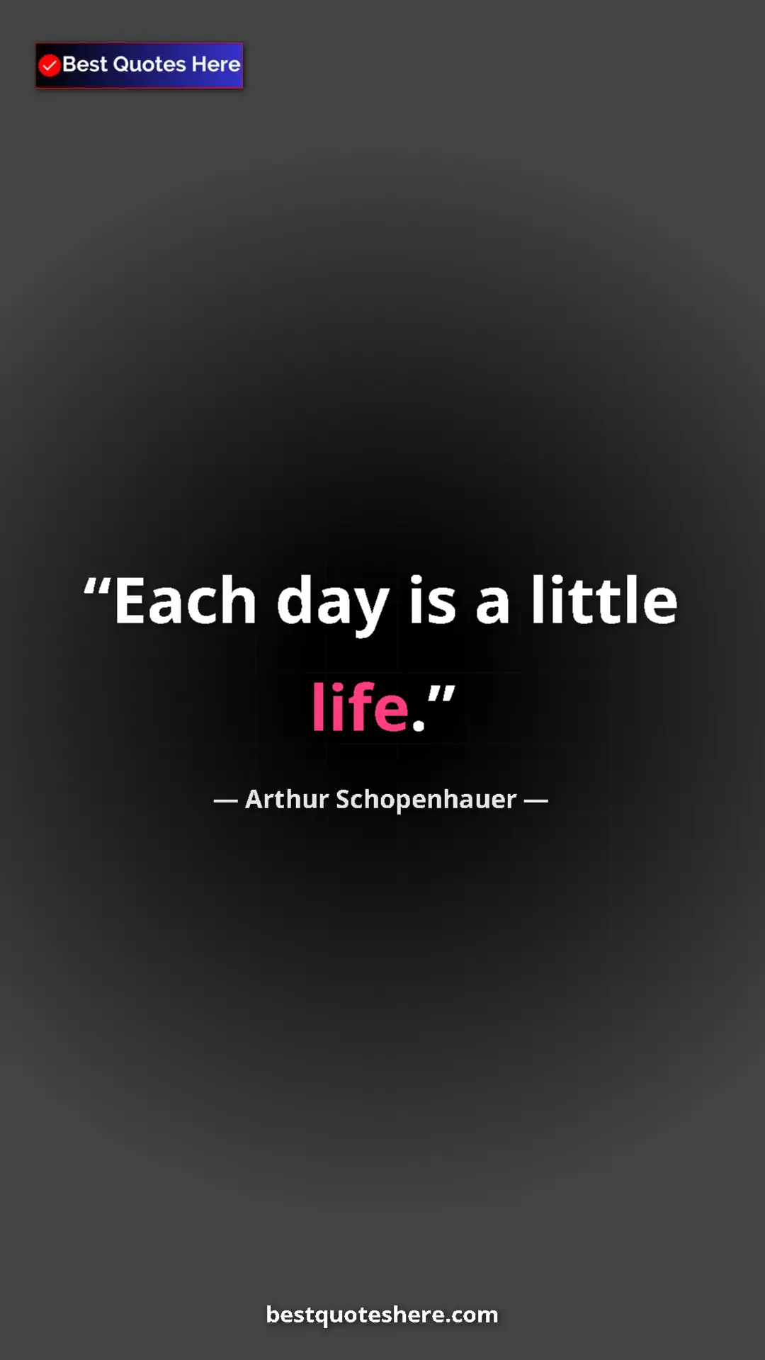 Pinterest quote poster by Arthur Schopenhauer: "Each day is a little life."