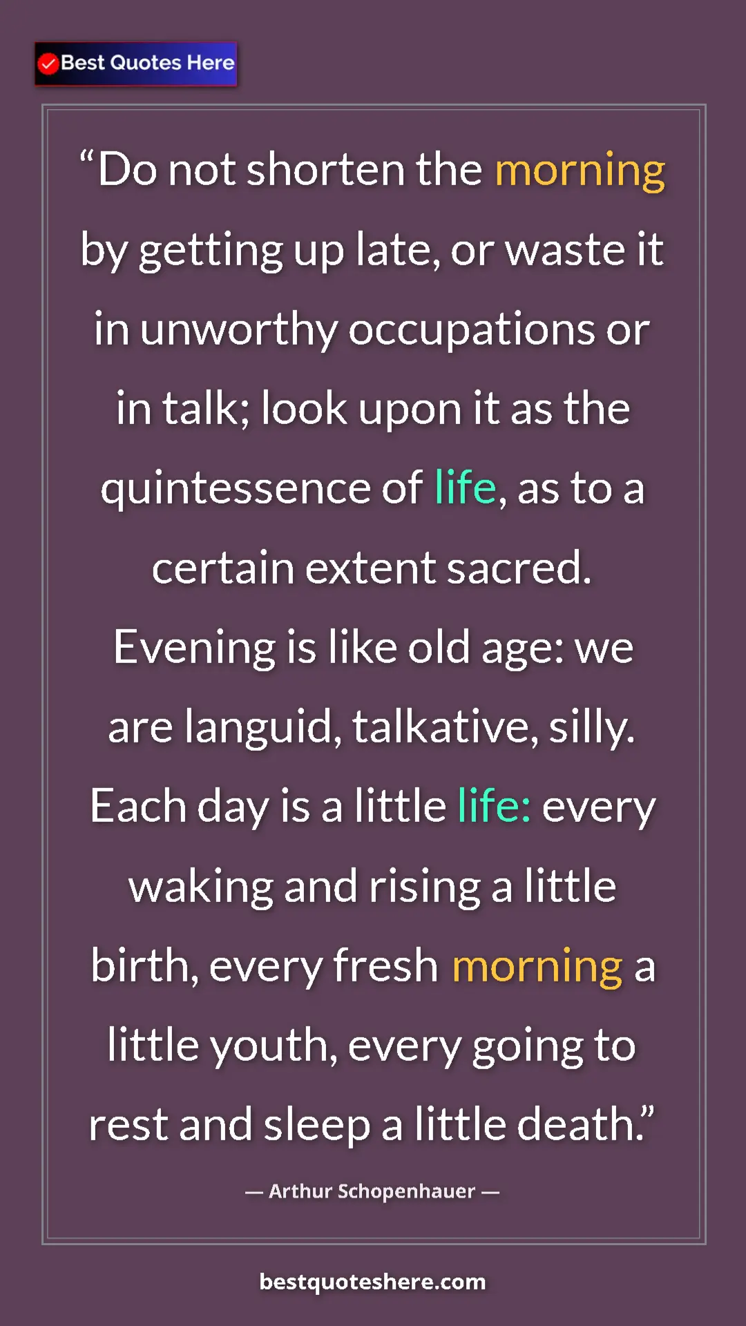 Pinterest quote poster by Arthur Schopenhauer: "Do not shorten the morning by getting up late, or waste it..."