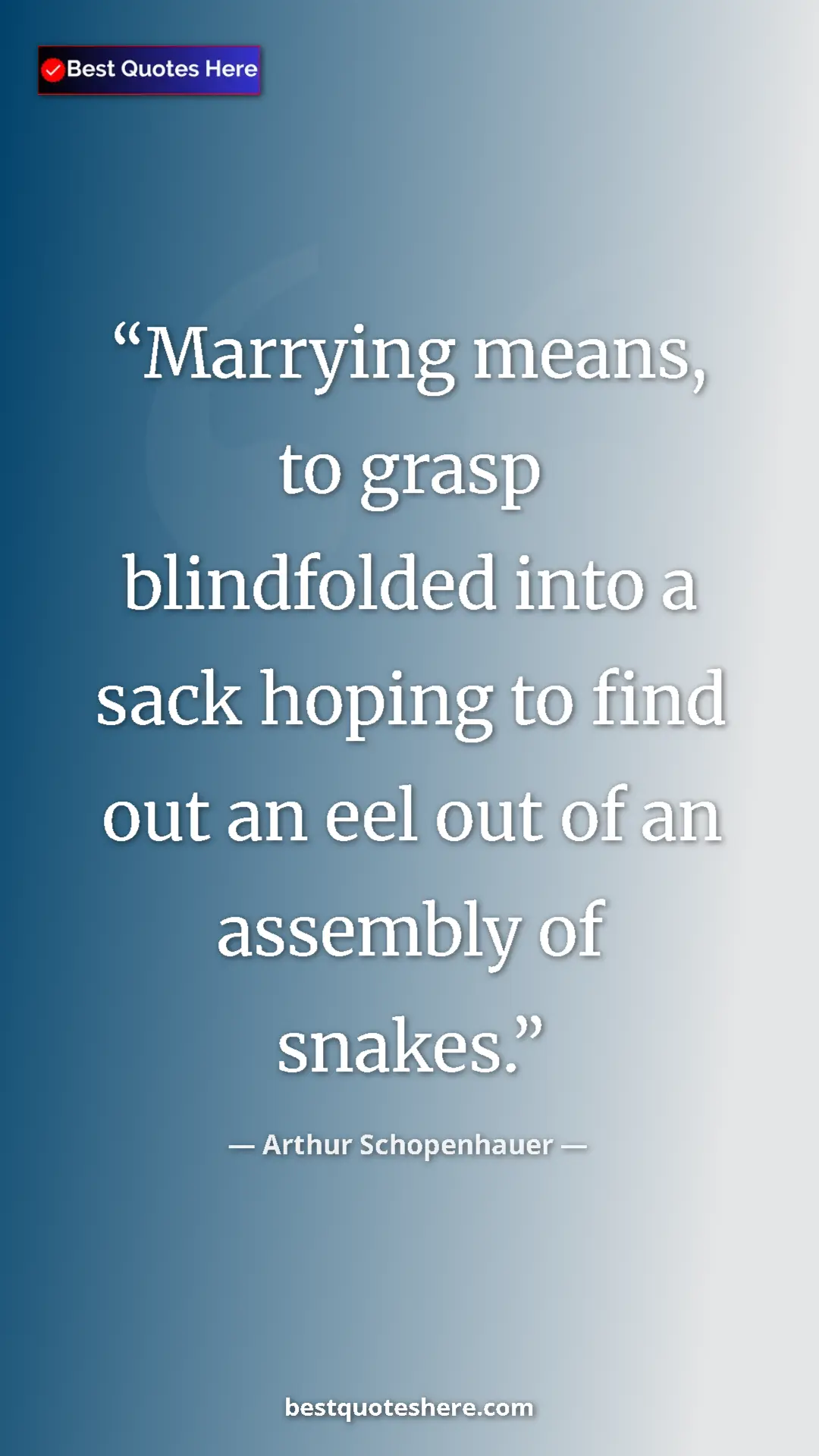 Pinterest quote poster by Arthur Schopenhauer: "Marrying means, to grasp blindfolded into a sack hoping to..."