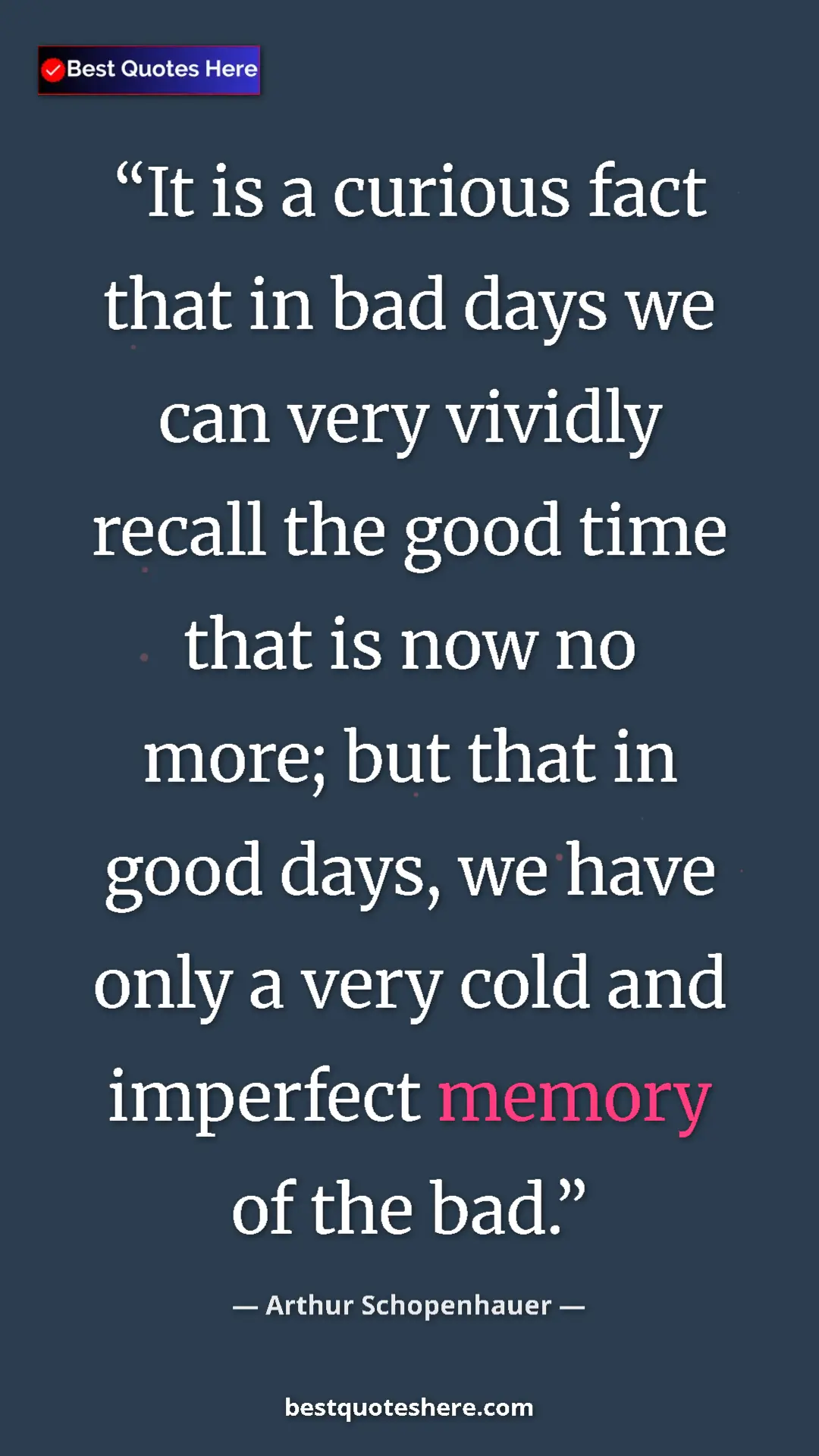 Pinterest quote poster by Arthur Schopenhauer: "It is a curious fact that in bad days we can very vividly..."
