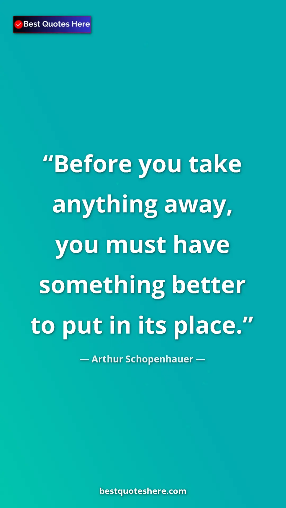 Pinterest quote poster by Arthur Schopenhauer: "Before you take anything away, you must have something..."