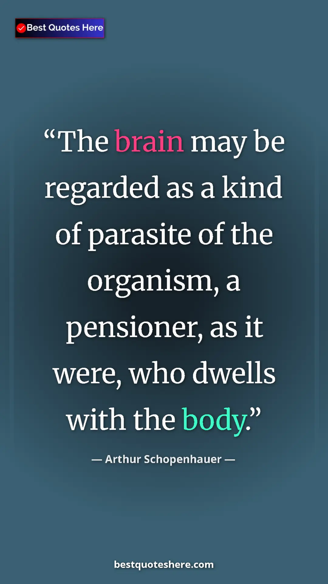 Pinterest quote poster by Arthur Schopenhauer: "The brain may be regarded as a kind of parasite of the..."