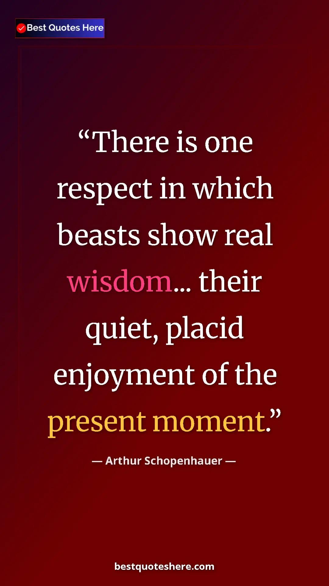 Arthur Schopenhauer Quote Card: "There is one respect in which beasts show real wisdom......" Pinterest quote poster by Arthur Schopenhauer: "There is one respect in which beasts show real wisdom......"