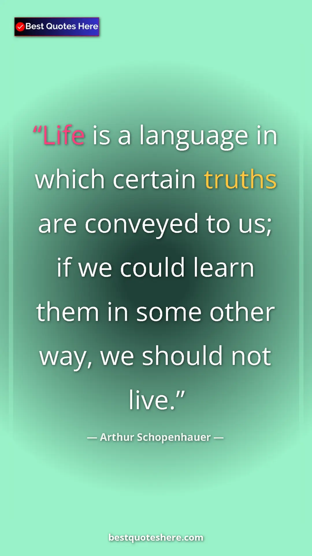 Pinterest quote poster by Arthur Schopenhauer: "Life is a language in which certain truths are conveyed to..."