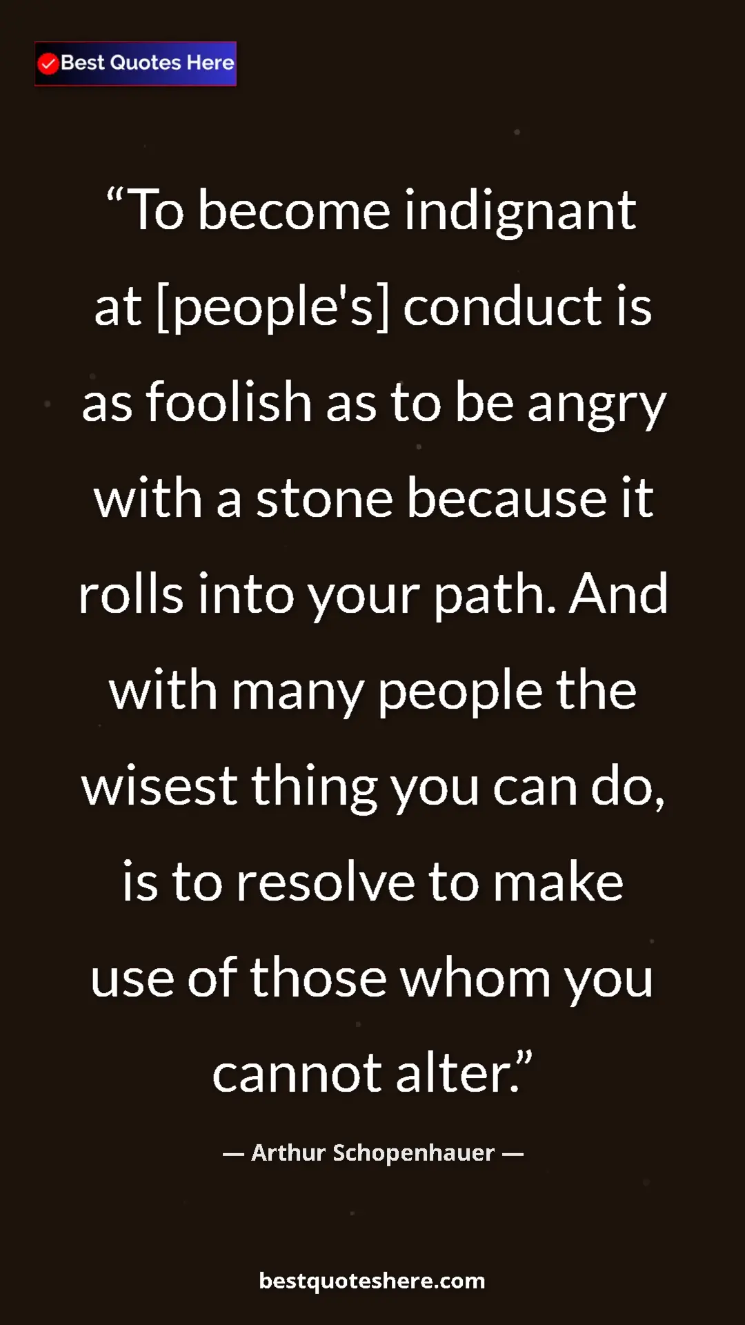 Pinterest quote poster by Arthur Schopenhauer: "To become indignant at [people's] conduct is as foolish as..."