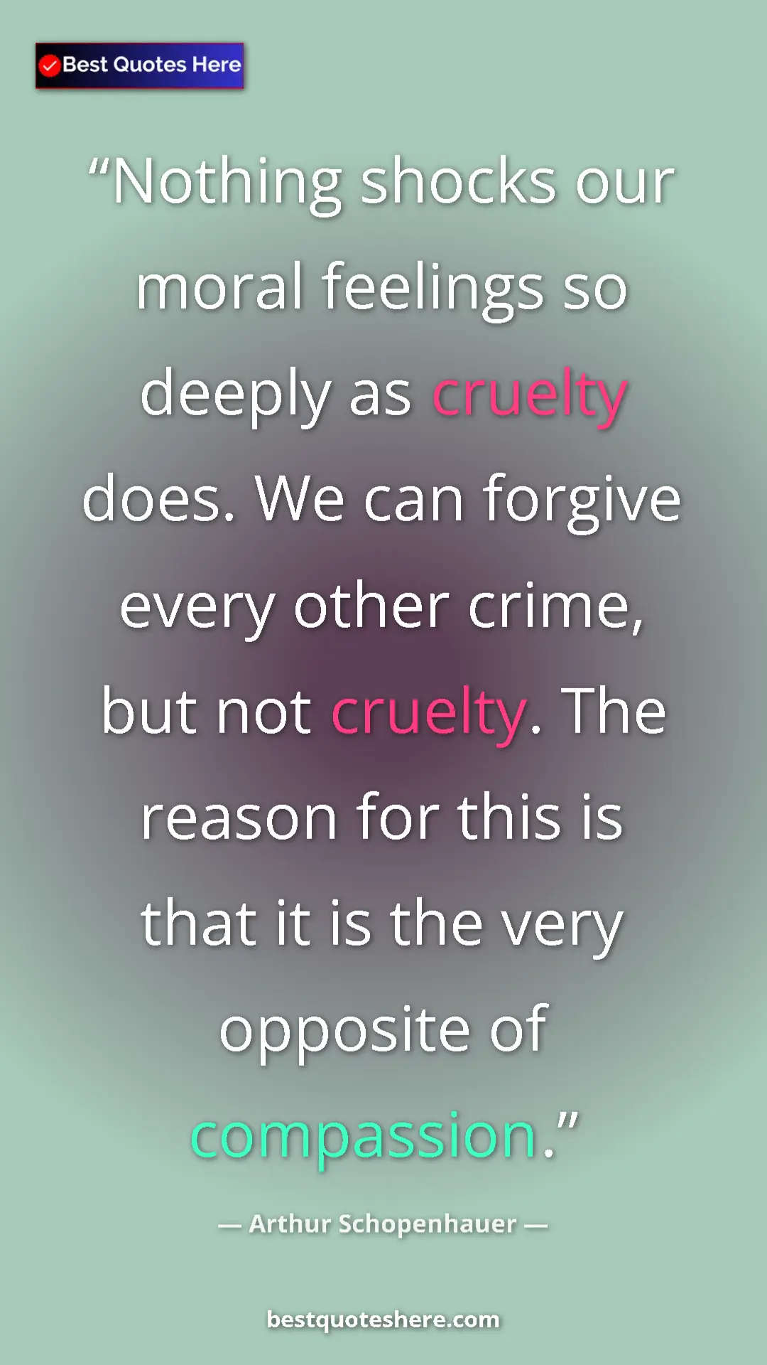 Pinterest quote poster by Arthur Schopenhauer: "Nothing shocks our moral feelings so deeply as cruelty..."