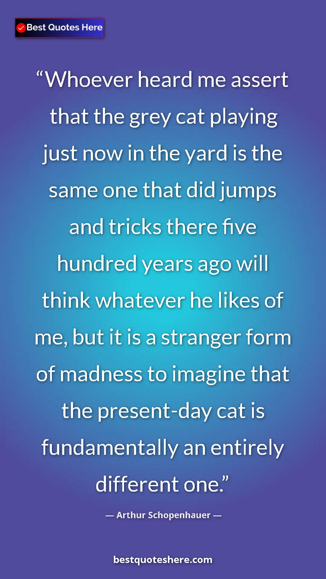 Pinterest quote poster by Arthur Schopenhauer: "Whoever heard me assert that the grey cat playing just now..."