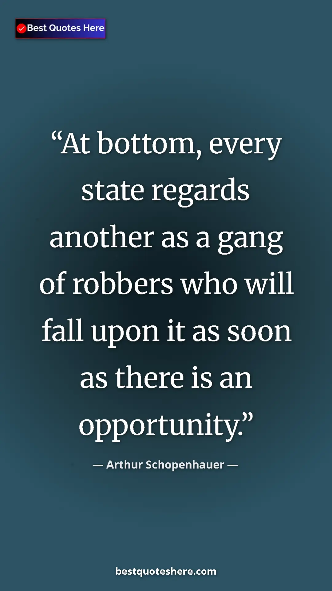 Pinterest quote poster by Arthur Schopenhauer: "At bottom, every state regards another as a gang of robbers..."