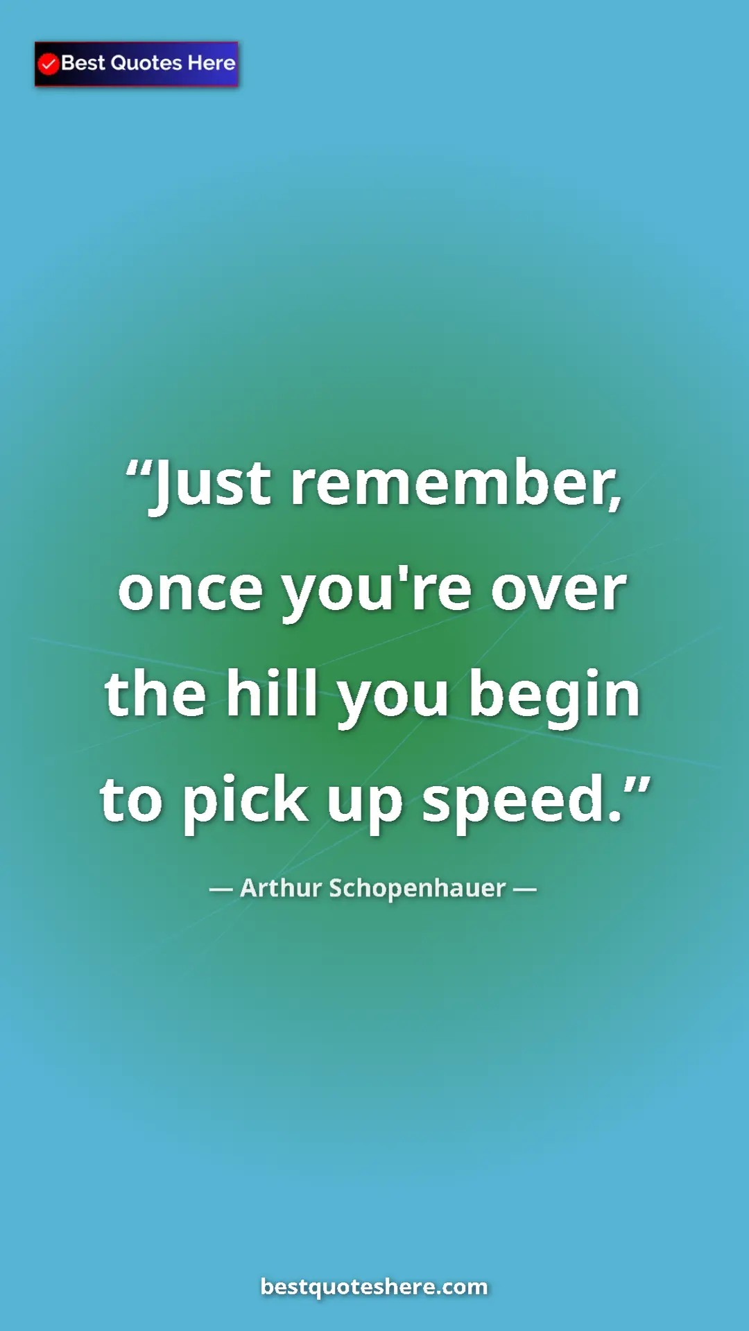 Pinterest quote poster by Arthur Schopenhauer: "Just remember, once you're over the hill you begin to pick..."