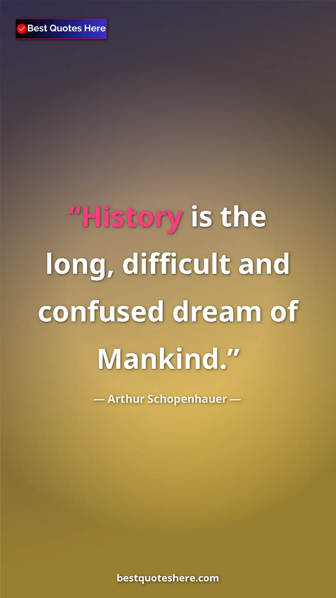 Pinterest quote poster by Arthur Schopenhauer: "History is the long, difficult and confused dream of..."