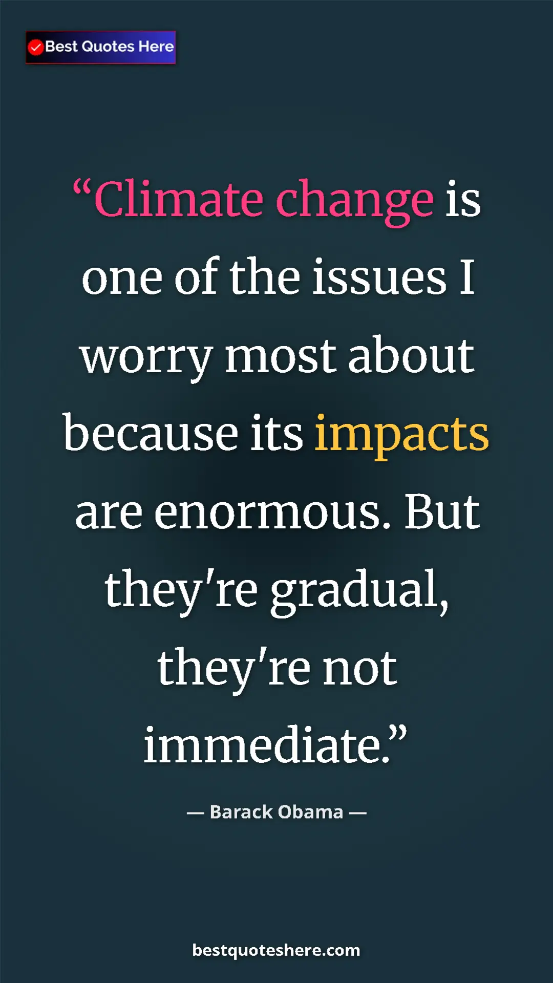 Pinterest quote poster by Barack Obama: "Climate change is one of the issues I worry most about..."