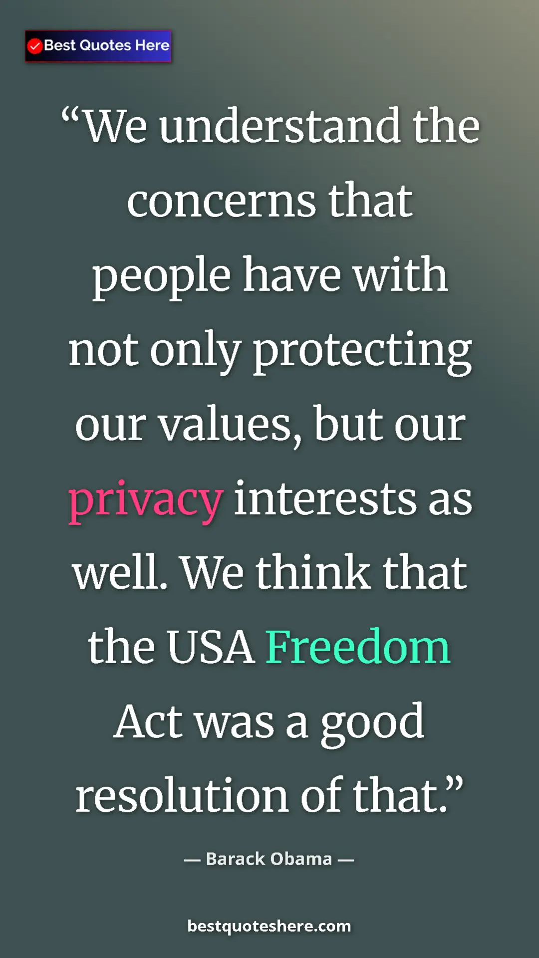 Pinterest quote poster by Barack Obama: "We understand the concerns that people have with not only..."