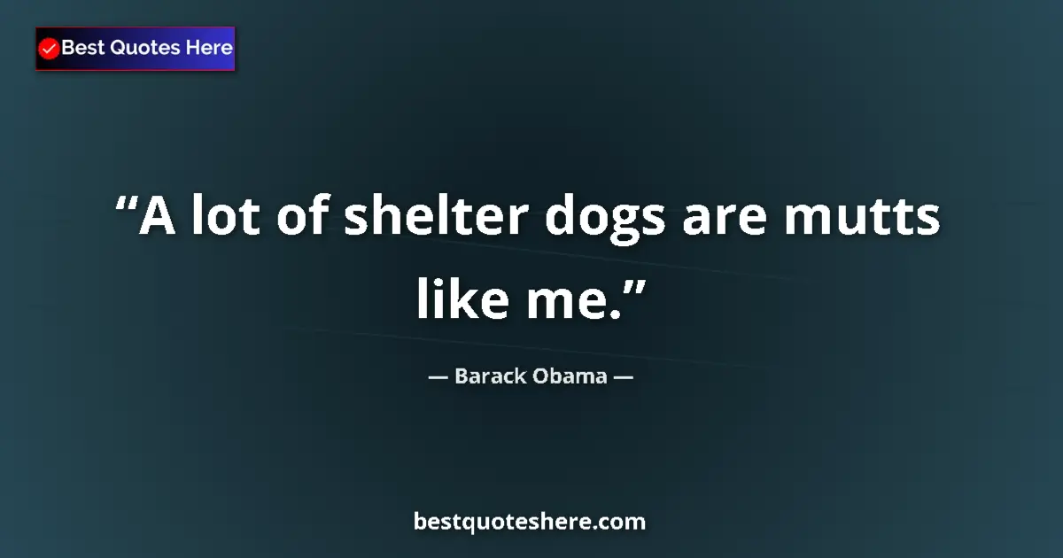 Quote by Barack Obama: A lot of shelter dogs are mutts like me....
