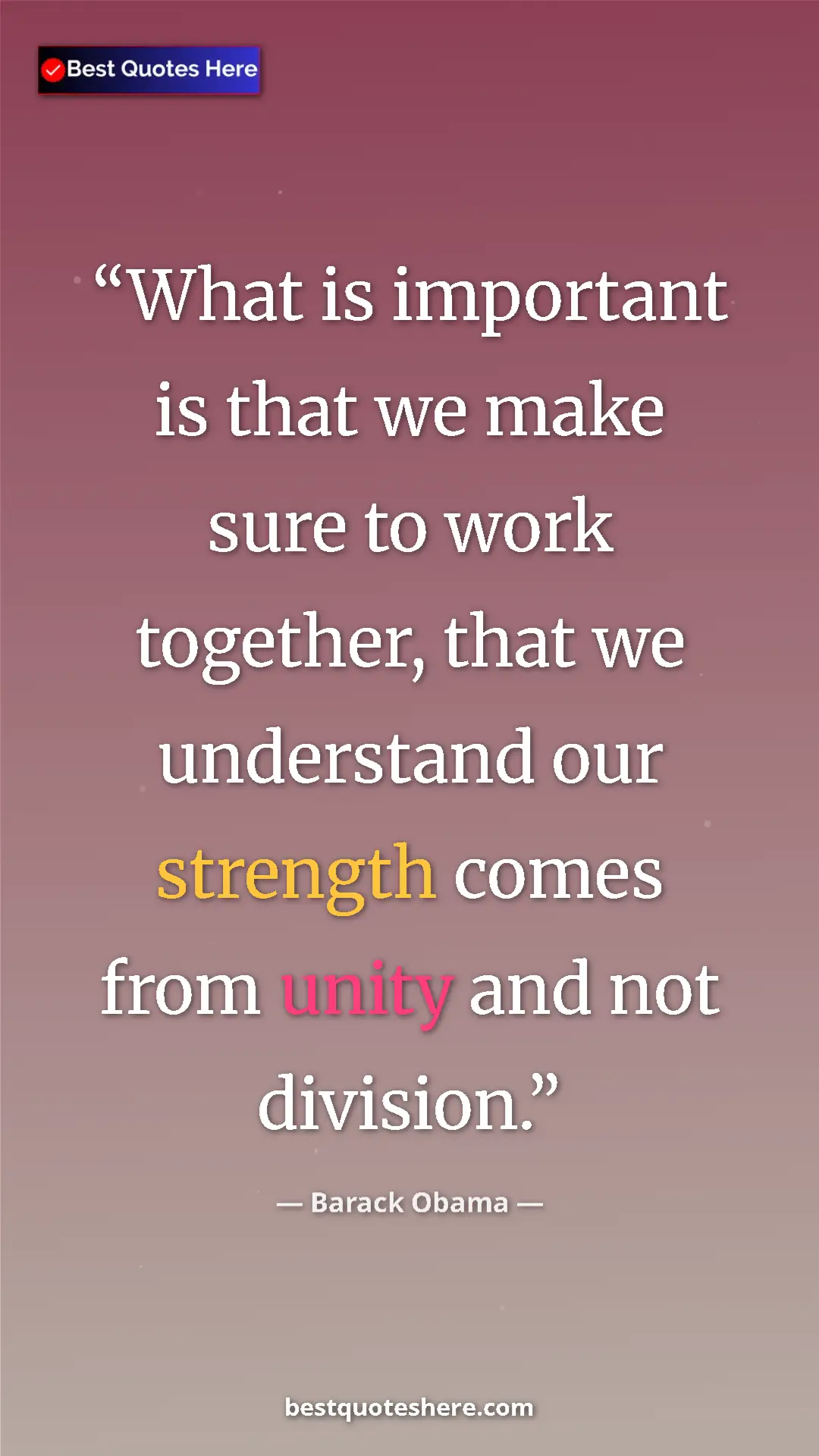 Pinterest quote poster by Barack Obama: "What is important is that we make sure to work together,..."