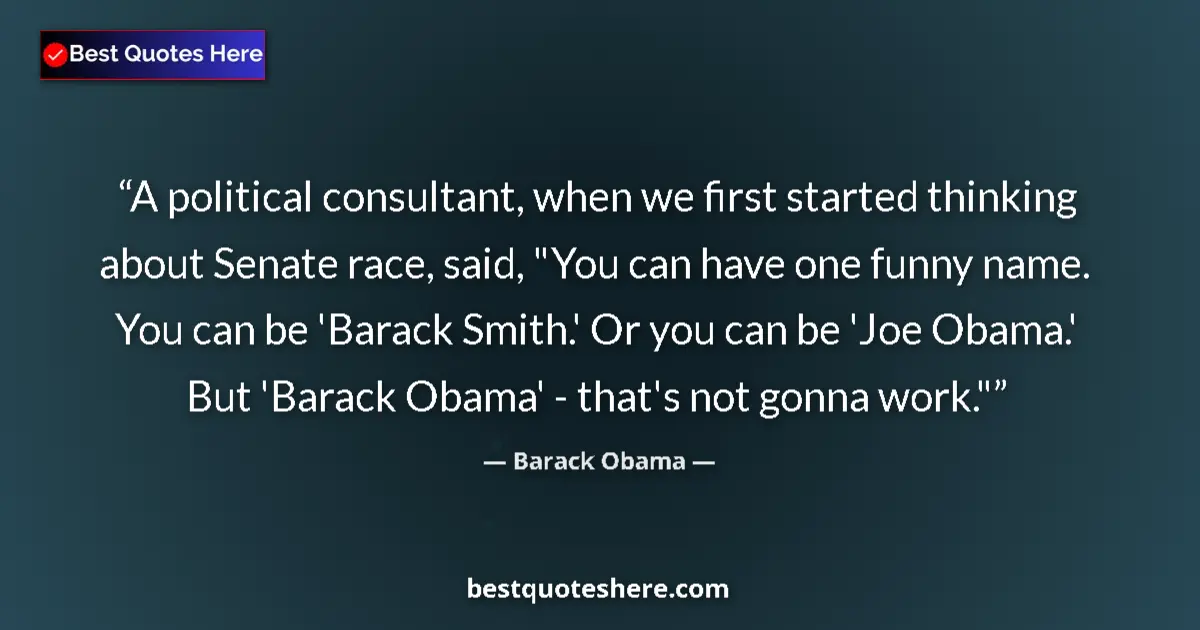 Quote by Barack Obama: A political consultant, when we first started thin